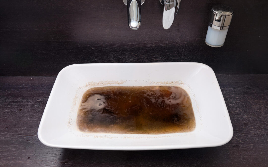 How Often Should I Schedule Professional Drain Cleaning Services in Longmont, Co